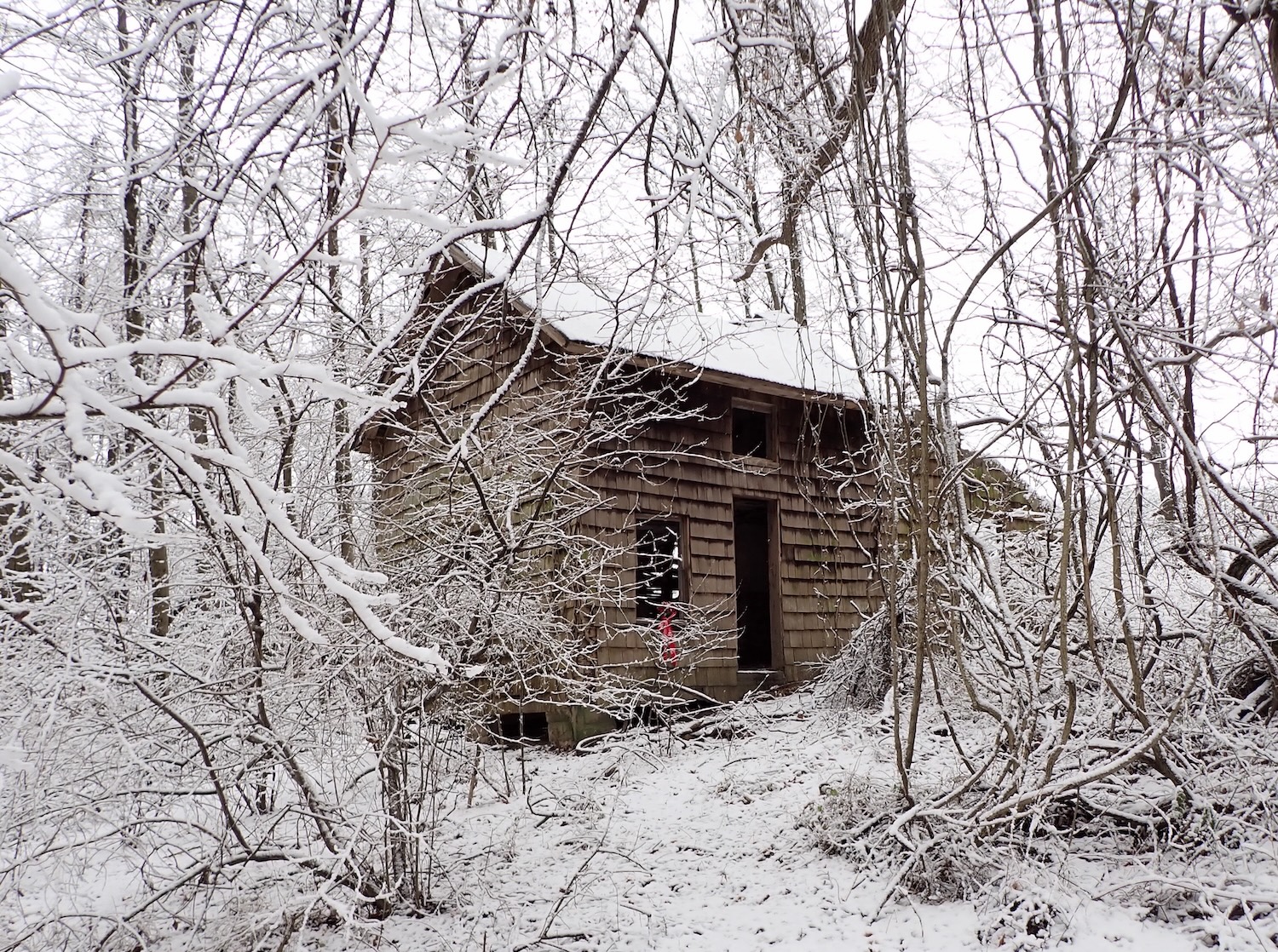“Abandoned” by William L. Thompson.