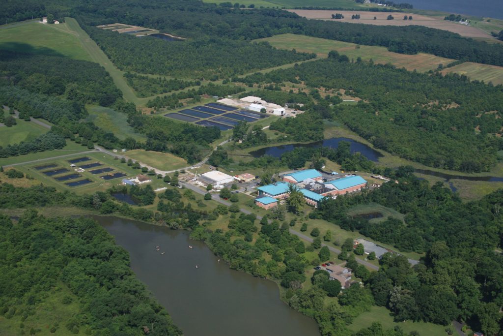 Horn Point Laboratory