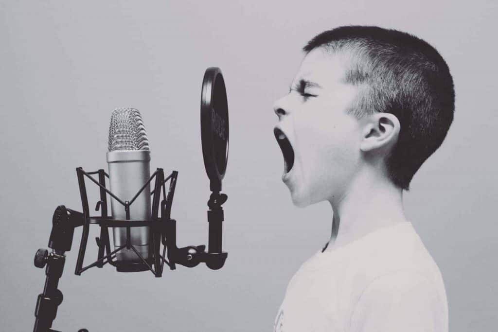 Opinion: Everyone Has a Constitutional Right to Be Annoying